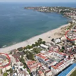 зафи *
