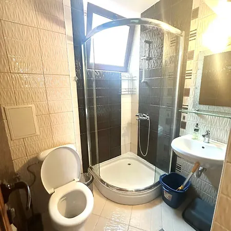 зафи * ソゾポル