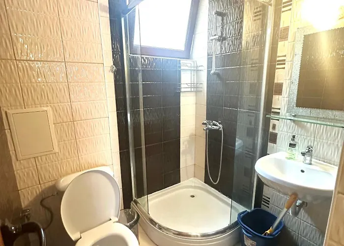 зафи * 索佐波尔